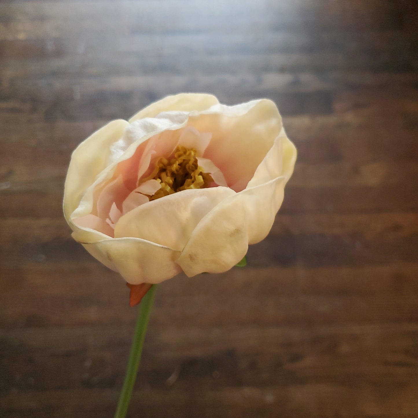 Floral - Peony (Real Feel)