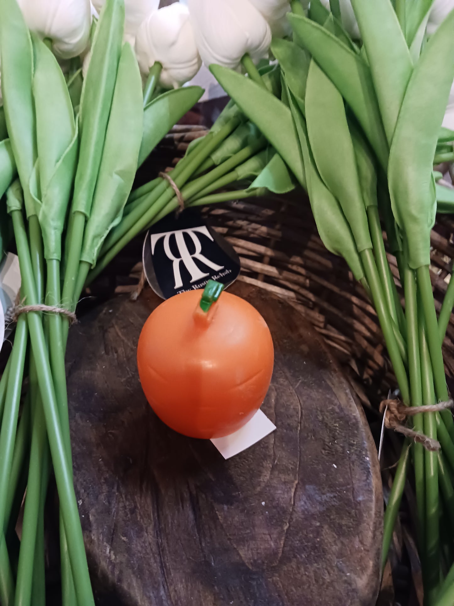 Squeeze carrot bunny
