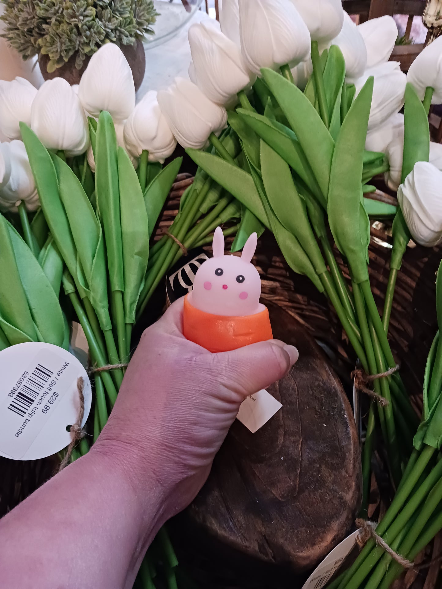 Squeeze carrot bunny