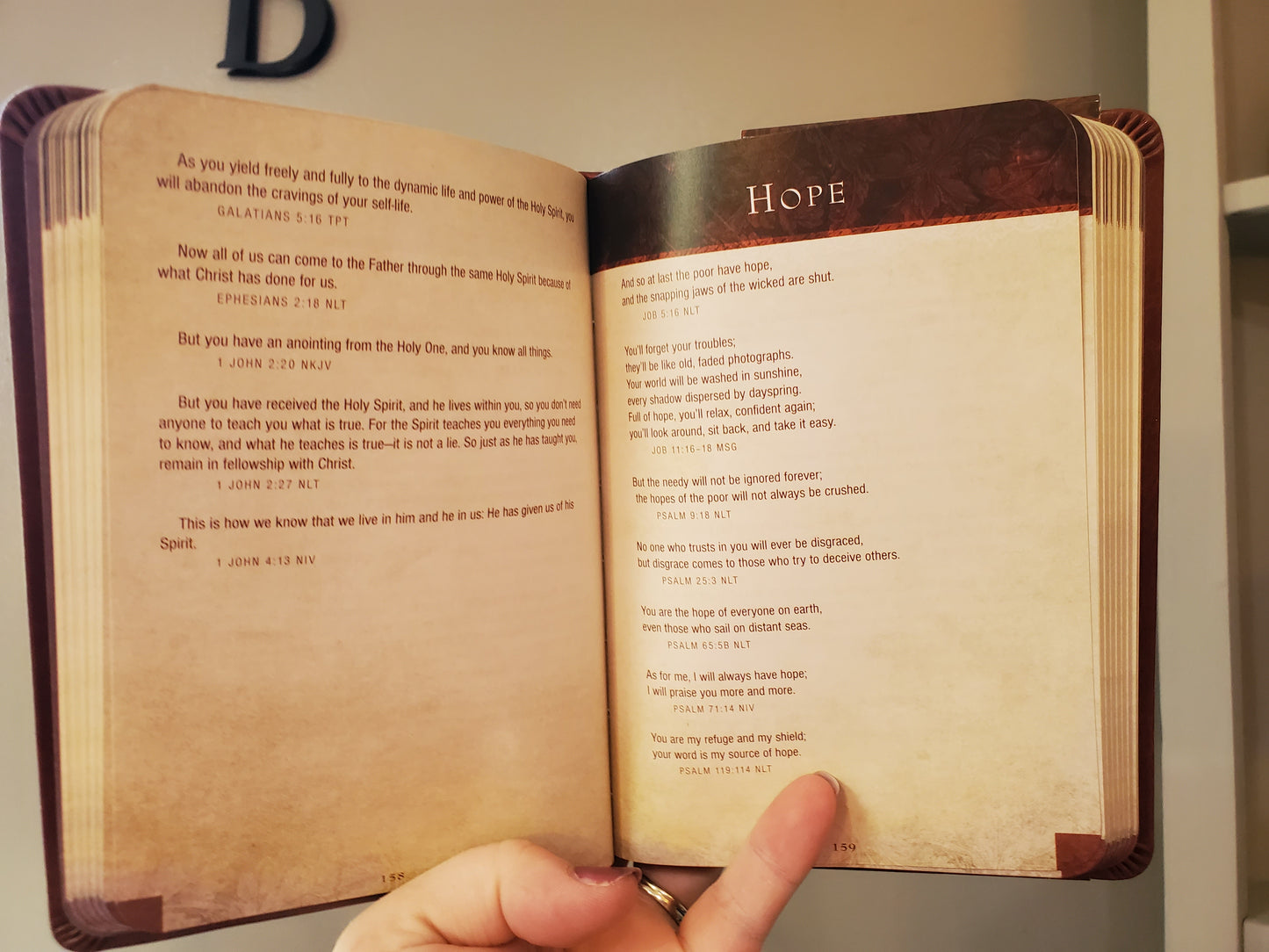 Bible Promises for Life
