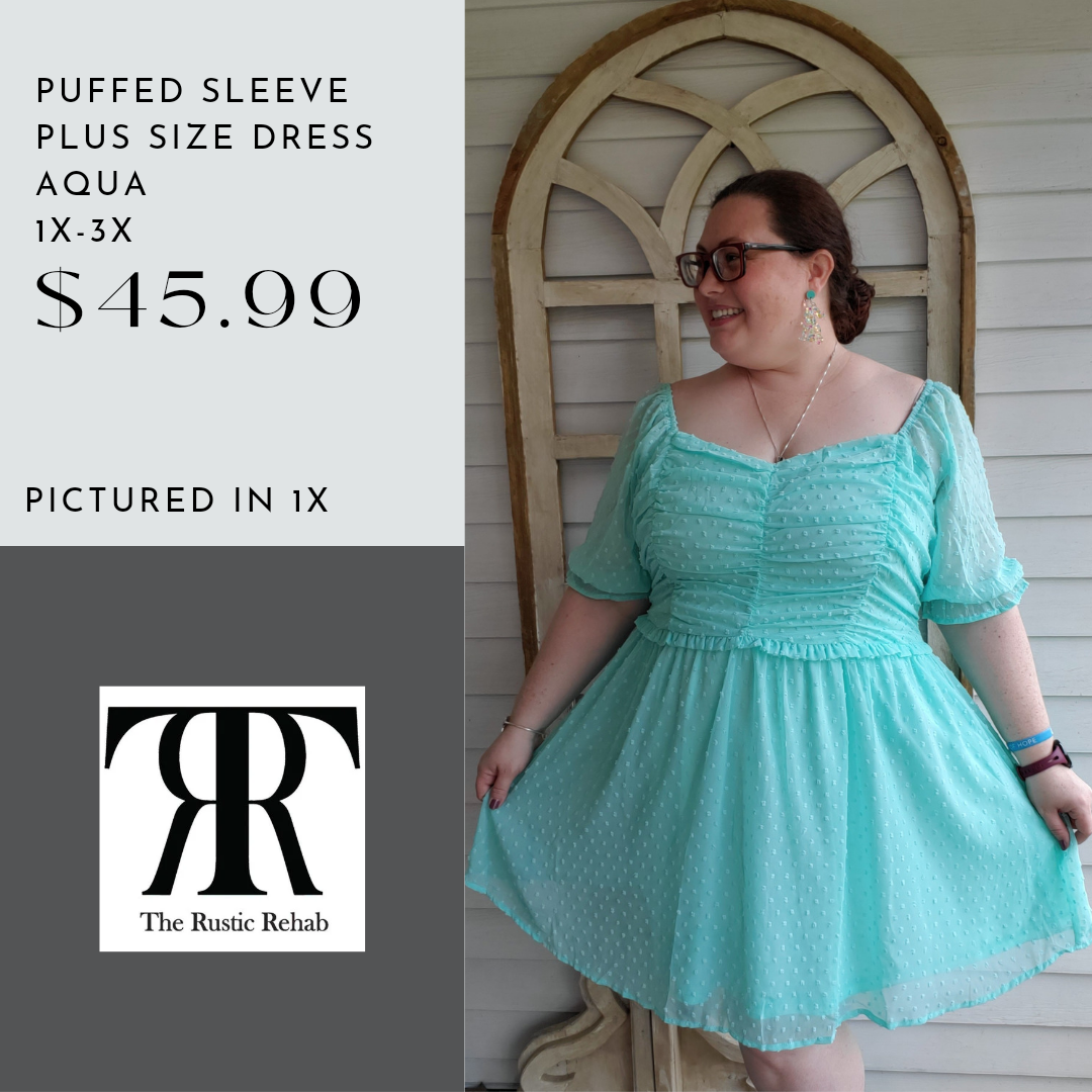 Puffed Sleeve Plus Size Dress