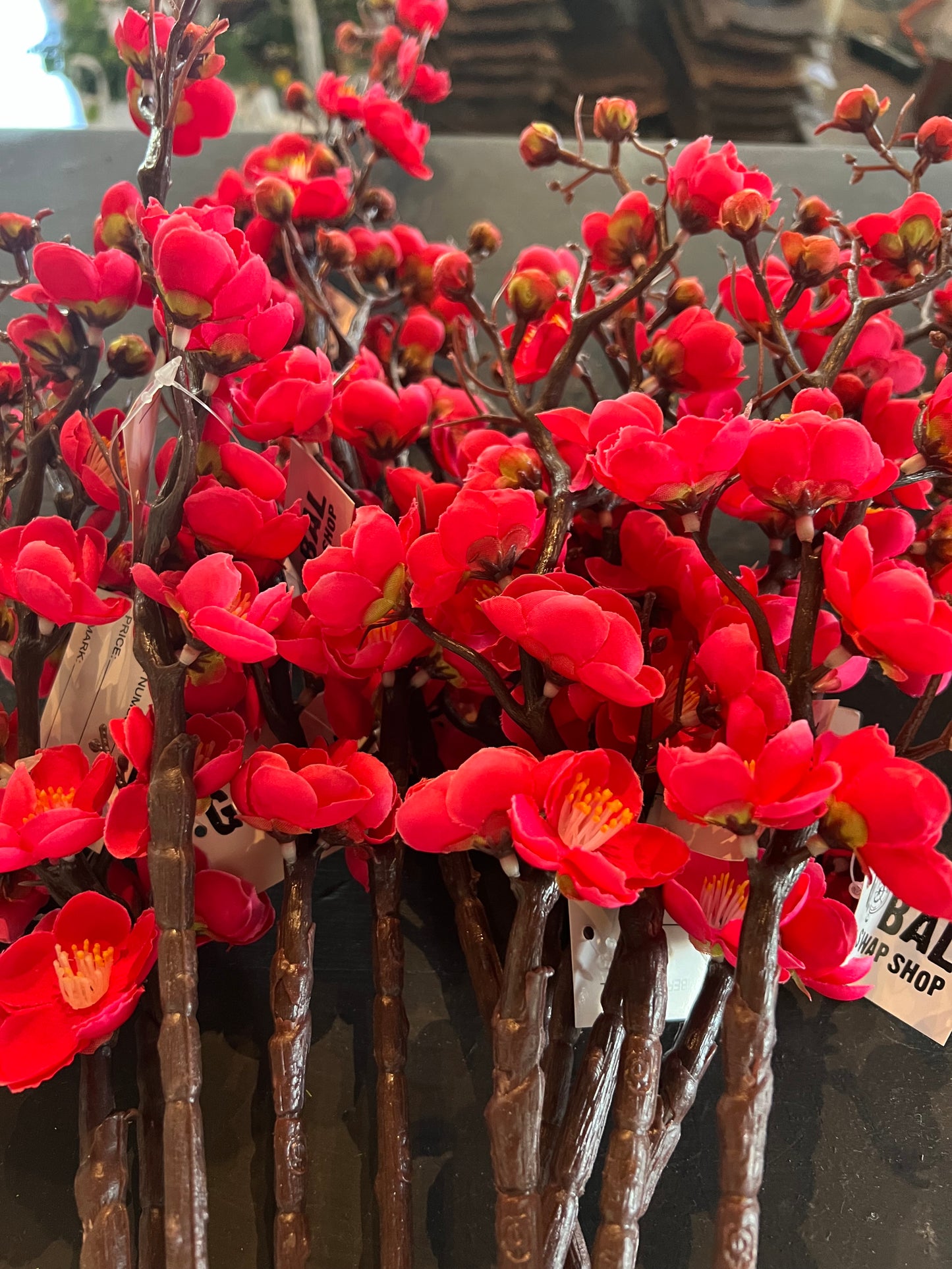 Floral - Cherry Blossom Stems
