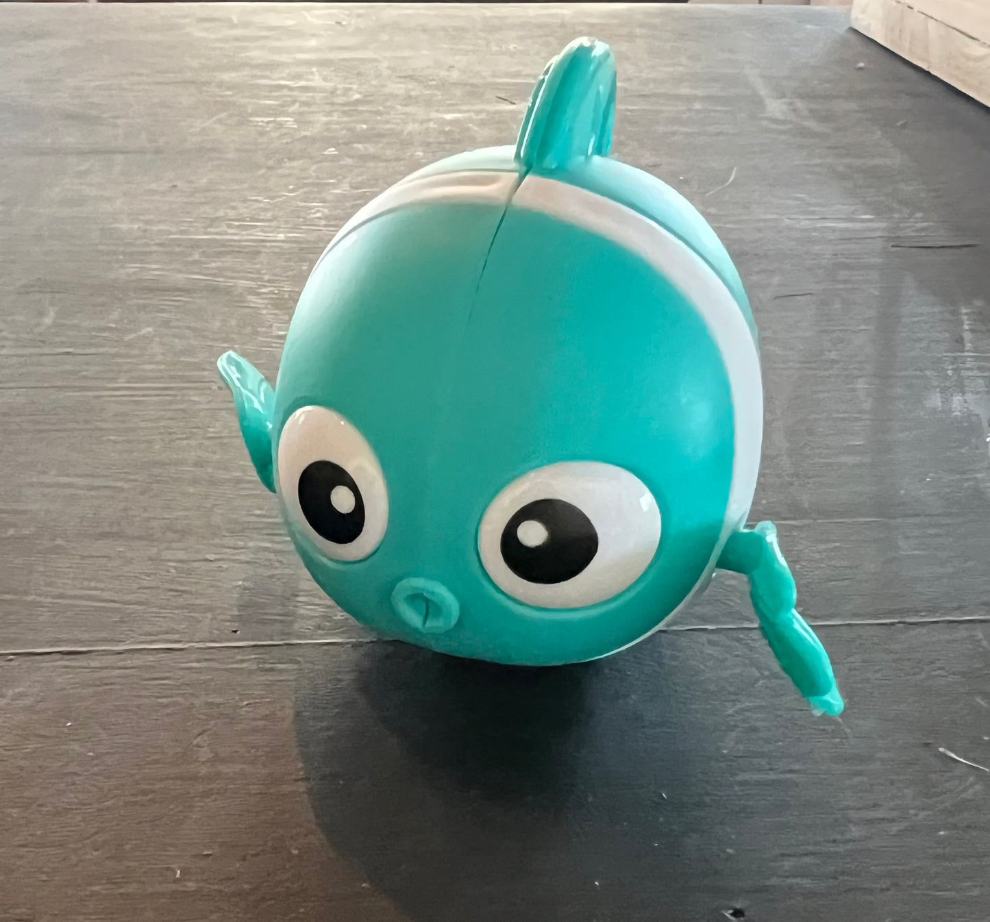 Wind Up Fish Toy