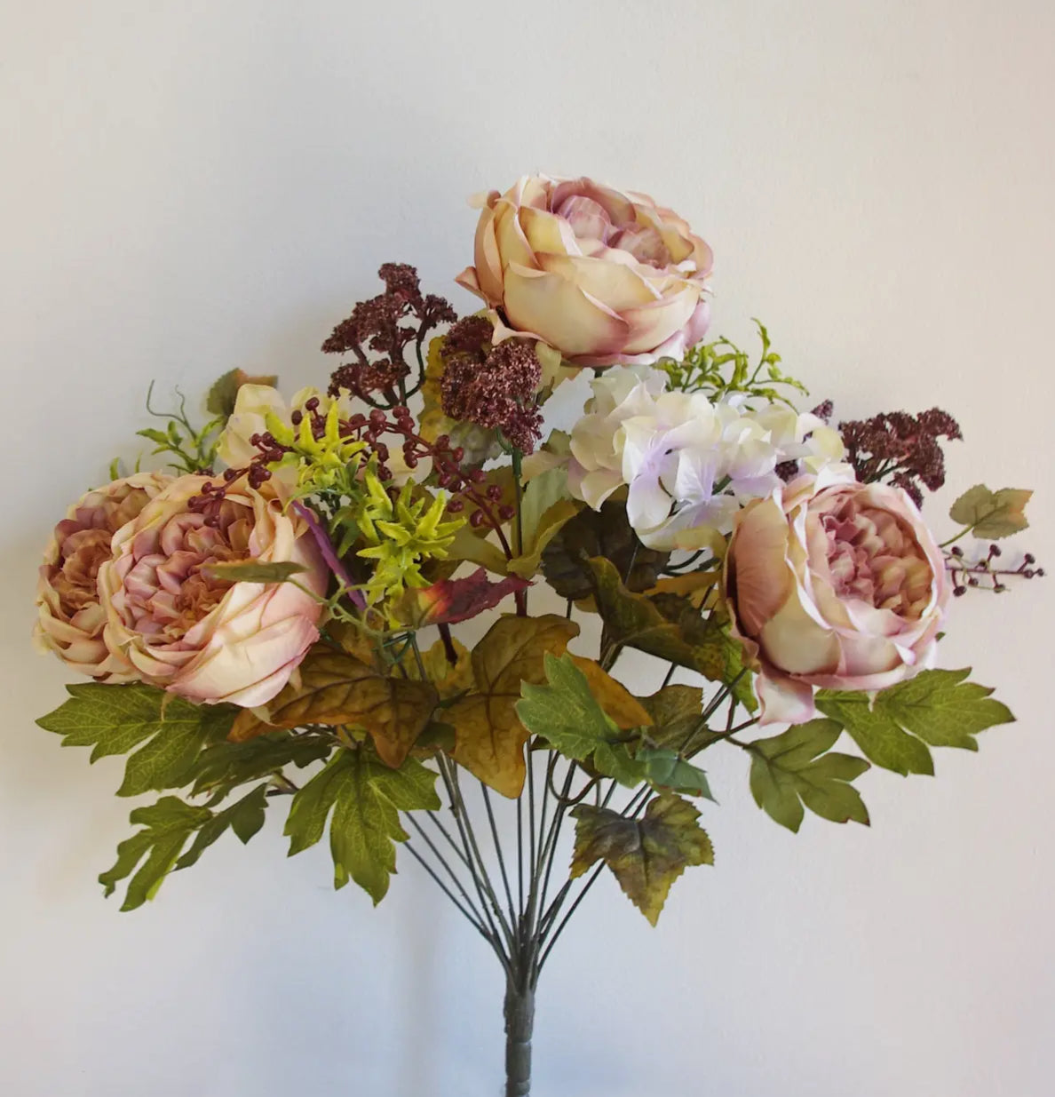 Cabbage Rose Hydrangea Dahlia Bush