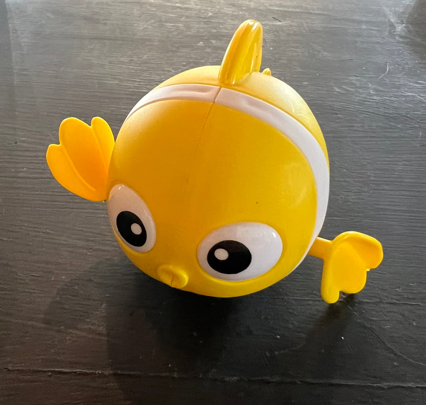 Wind Up Fish Toy