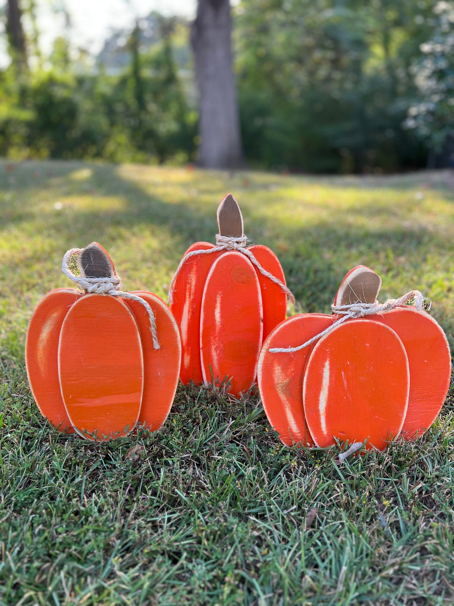 Wooden pumpkins set of 3