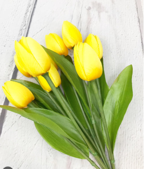 Tulip bundle