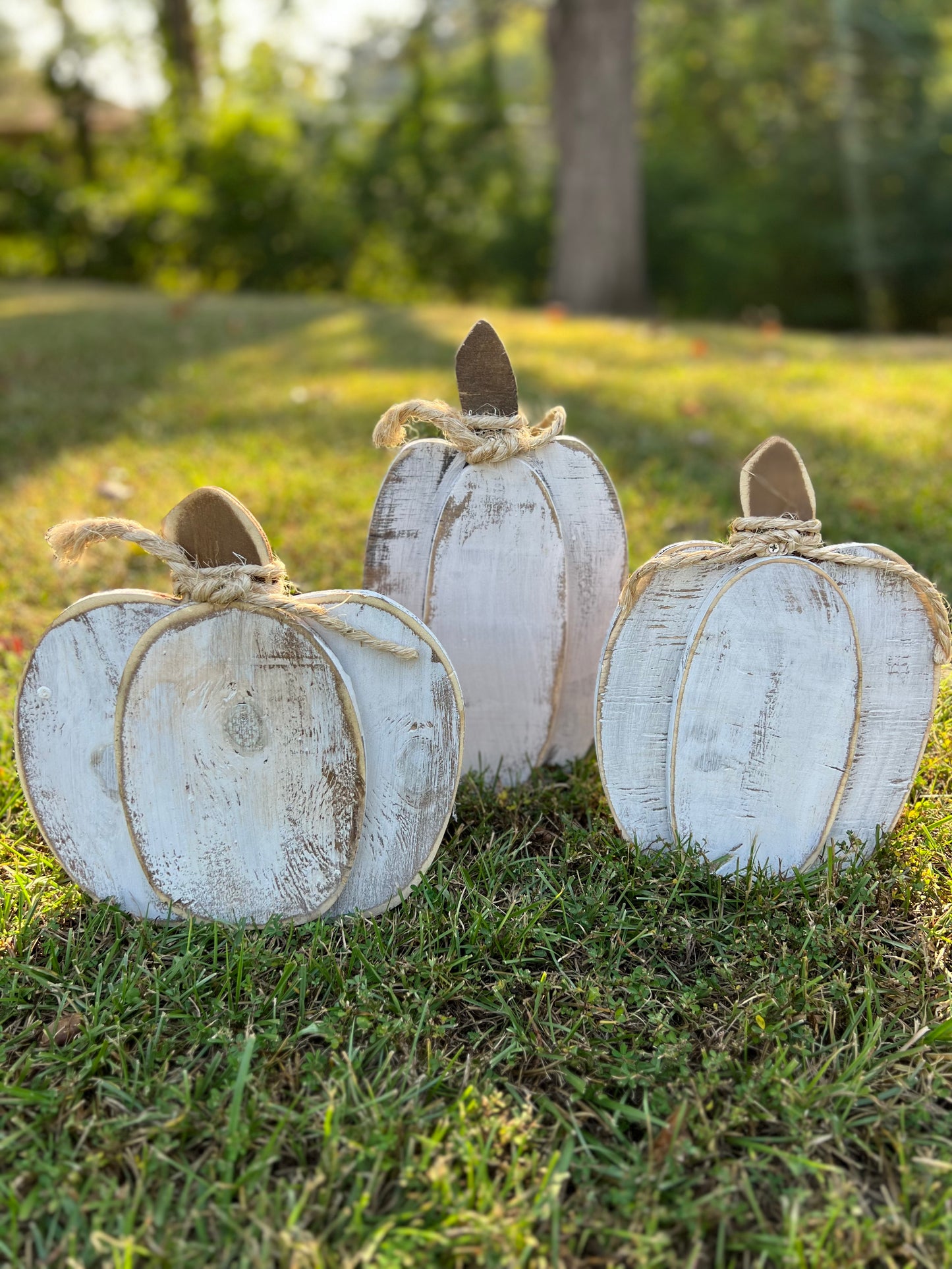 Wooden pumpkins set of 3