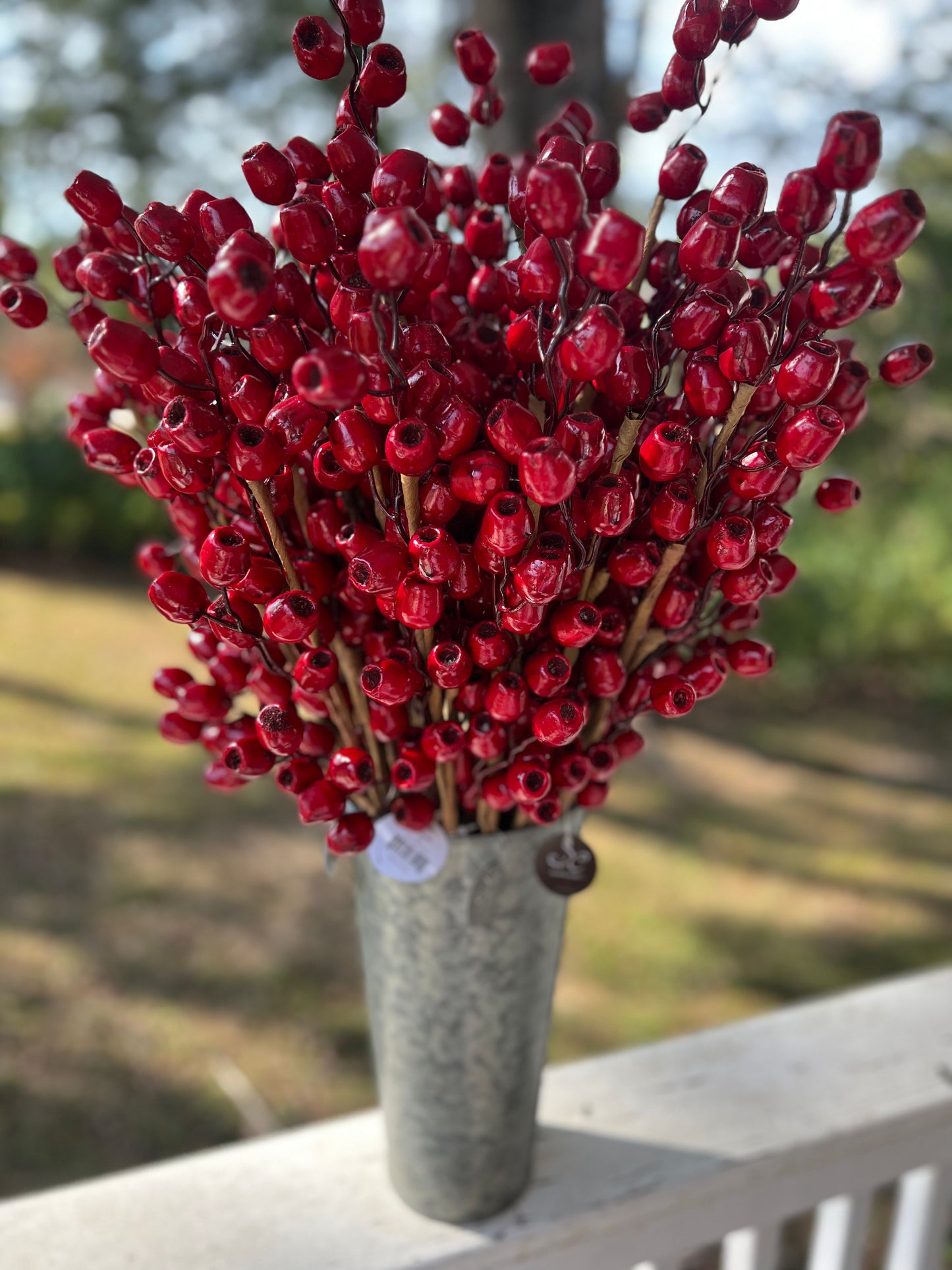 Pod berry spray -red