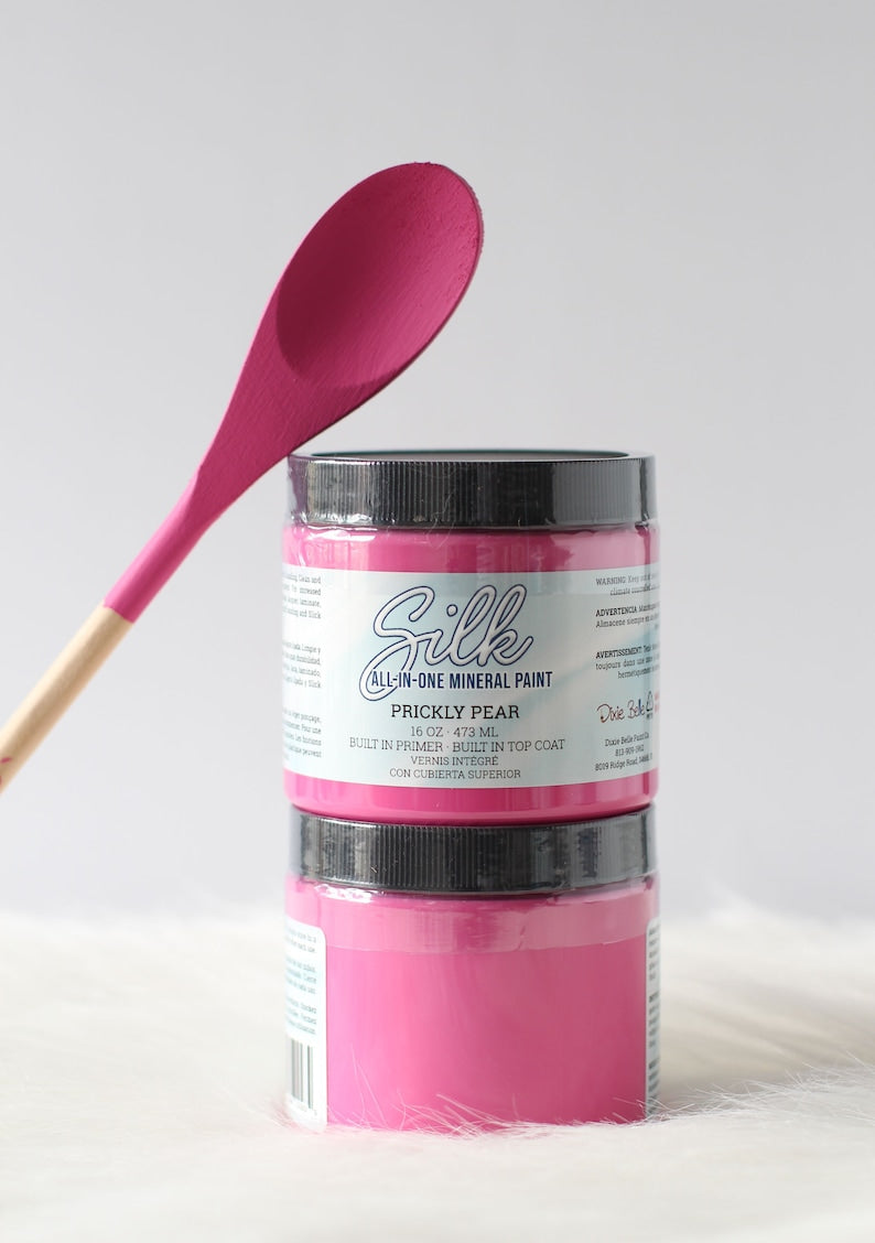 Dixie Belle Silk Paint - Prickly Pear