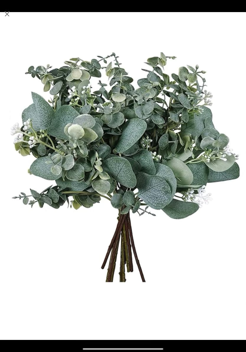 Eucalyptus bundle