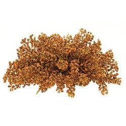Greenery - Bursting Astilbe 9” Pumpkin