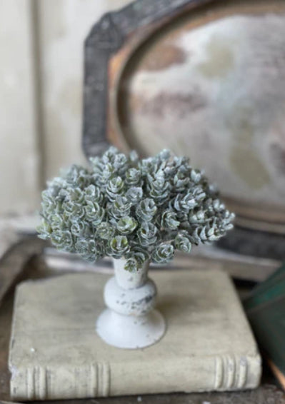 Greenery - 5" Frost Gleam Hops Half Sphere