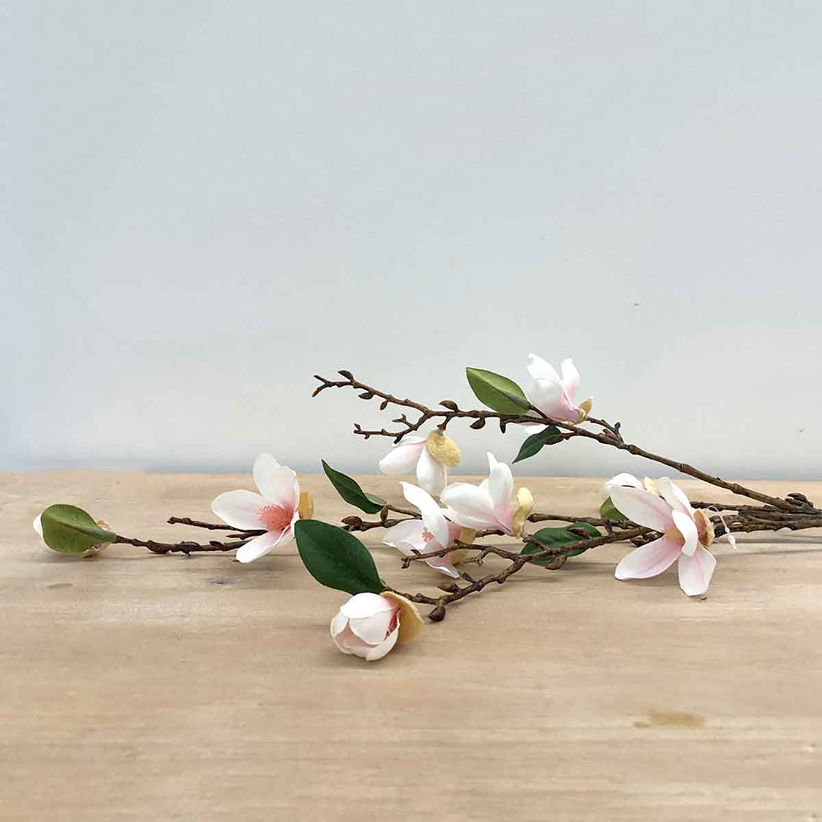 Japanese Magnolia Stem