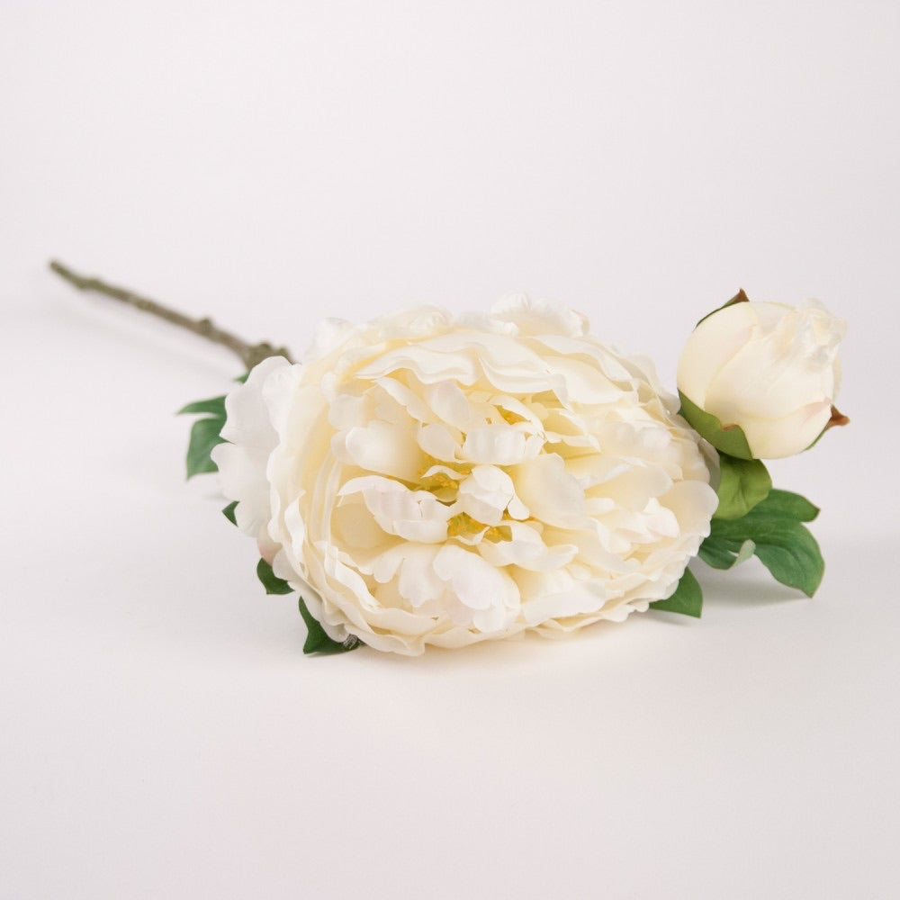 Peony Stem Pale Pink