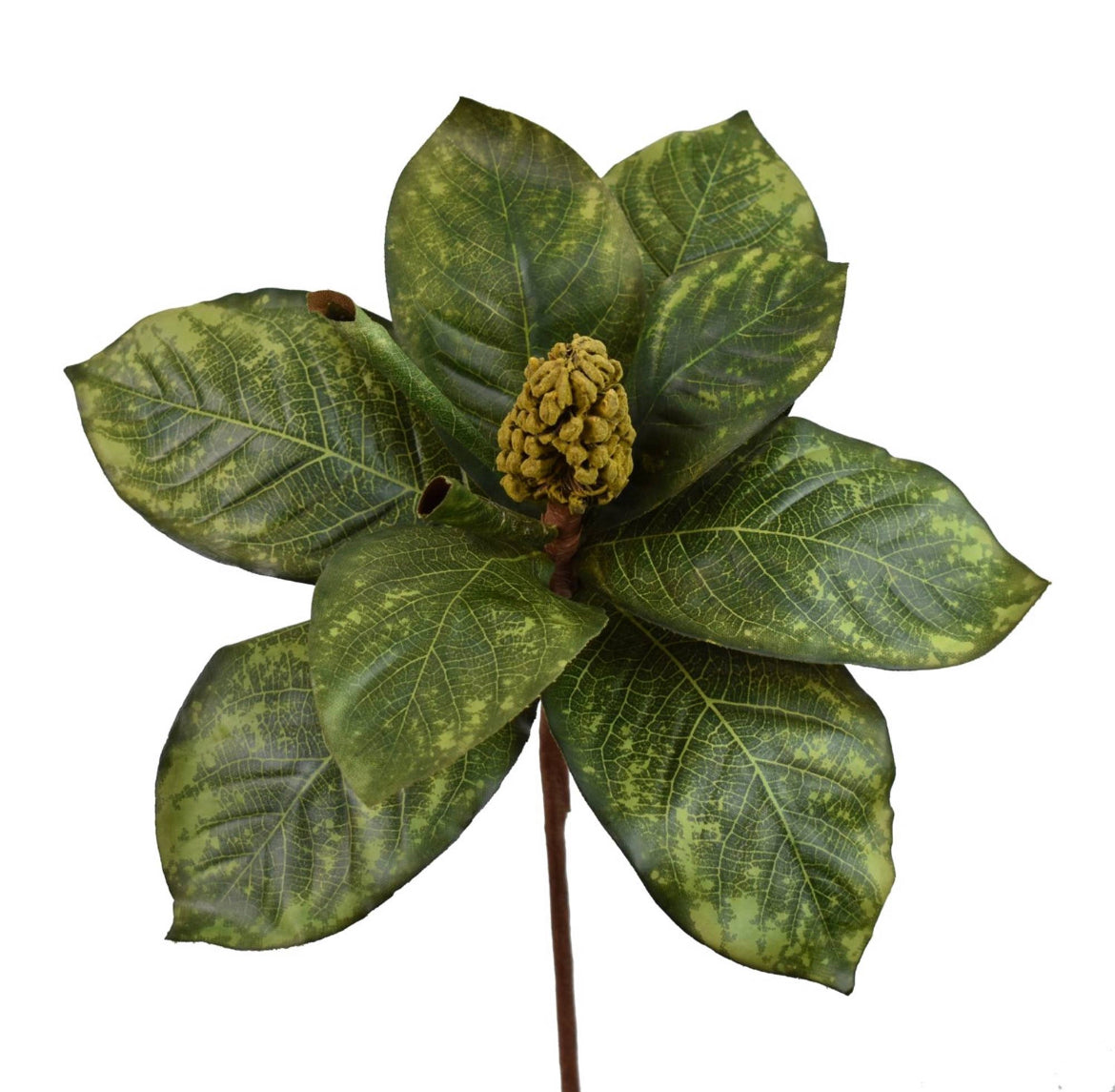Magnolia leaf spray 20”
