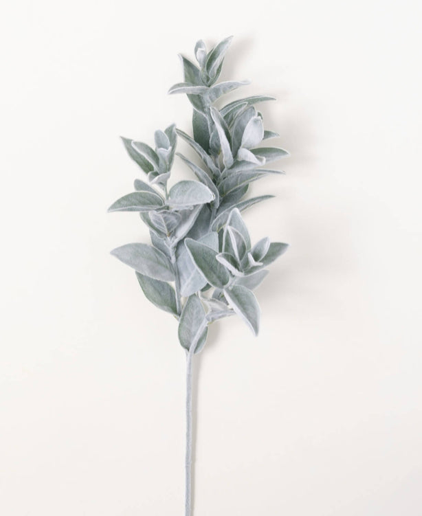 Lambs Ear Spray