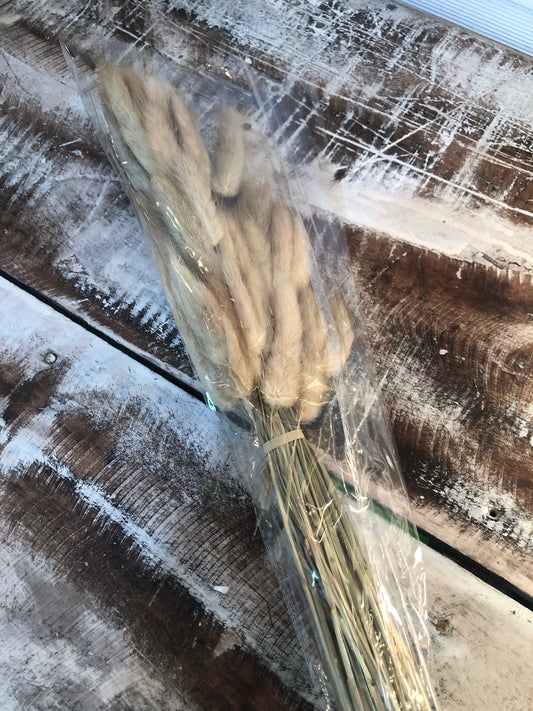 Dried bunny tail floral bundles