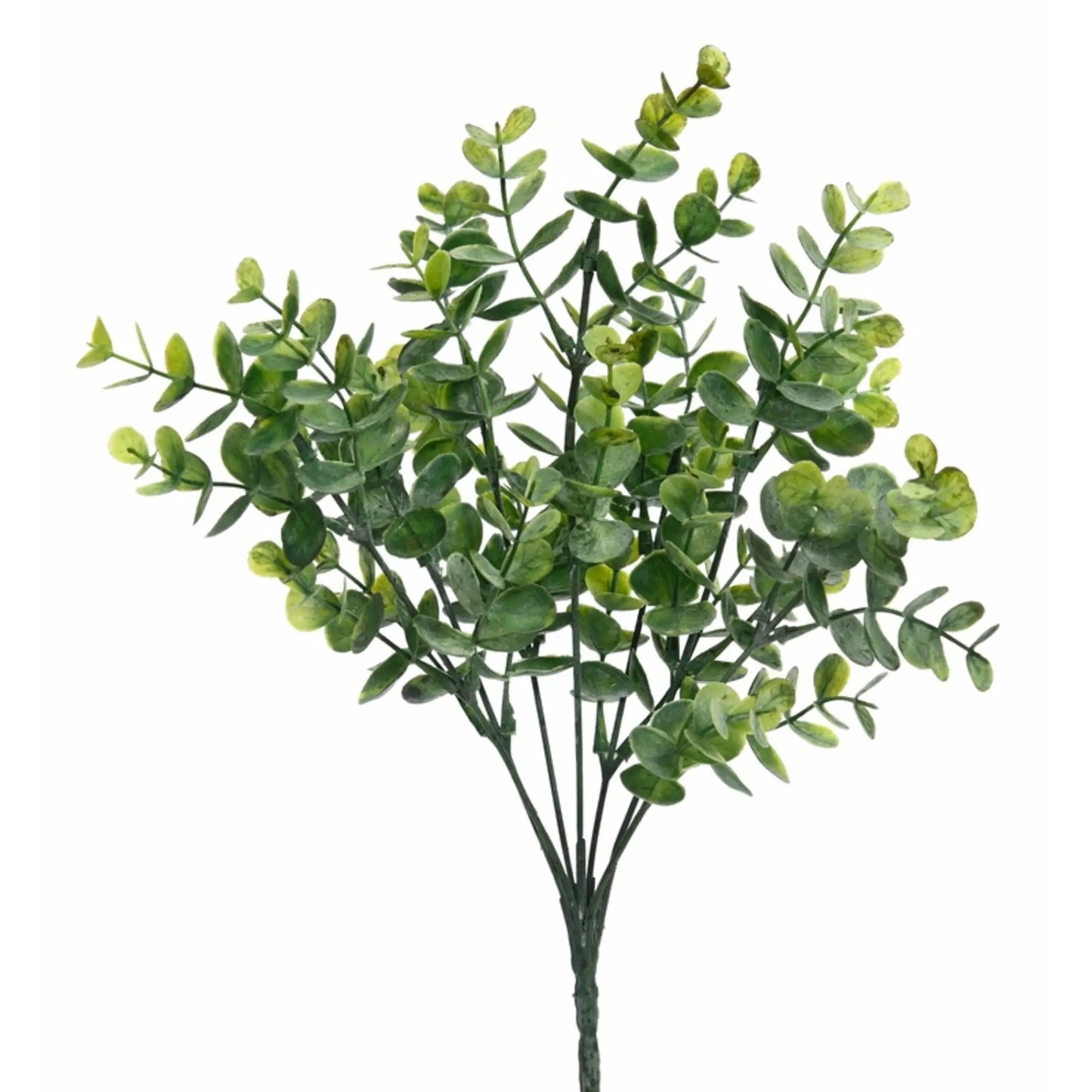 Eucalyptus Pick