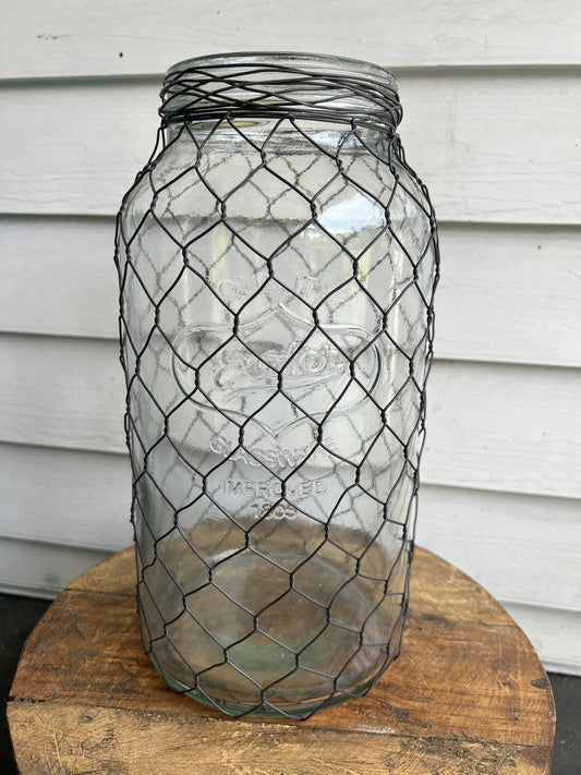 Chicken Wire Wrapped Vase