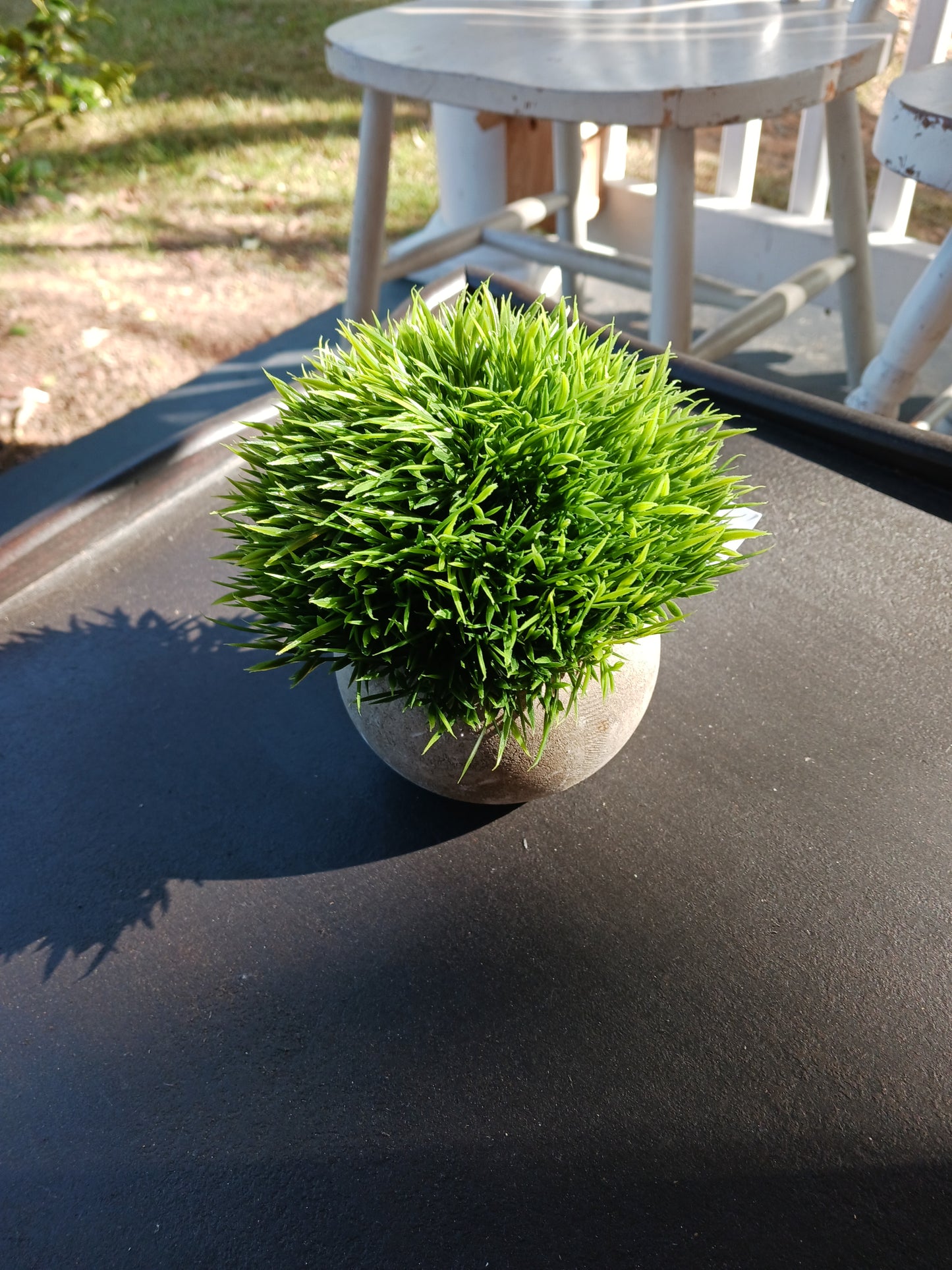 Grass Concrete Pot