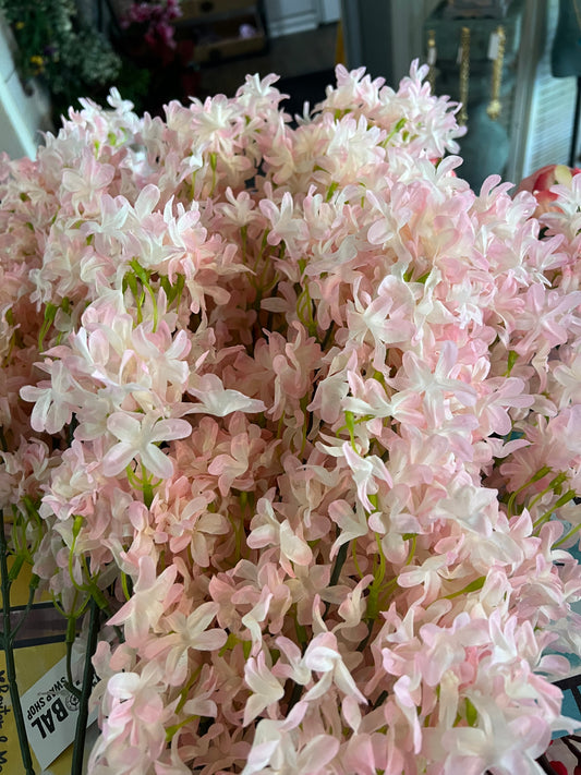 Pink lilac stem
