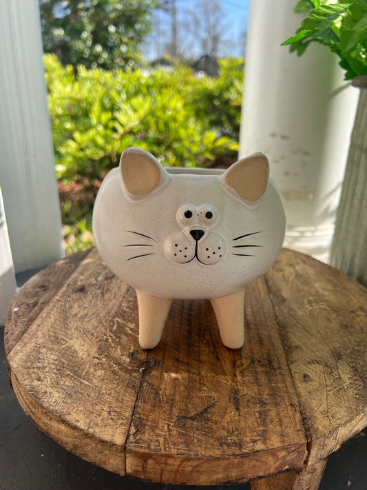 Kitty planter