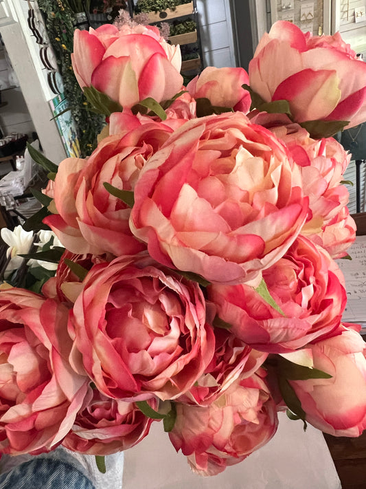 Pink peony stem