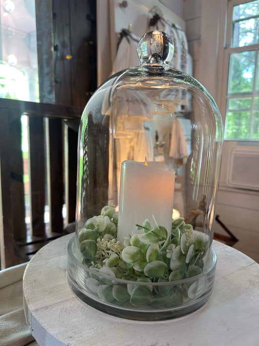 Glass Cloche