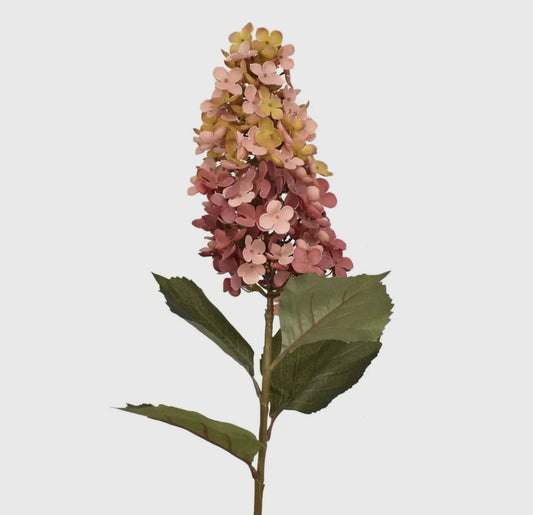 Panicle Single Bloom Hydrangea Stem