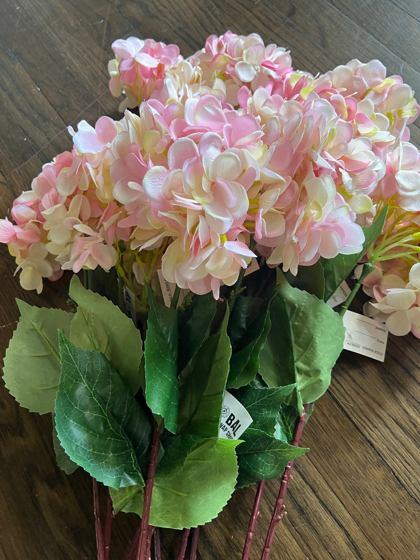 Pink hydrangea stem