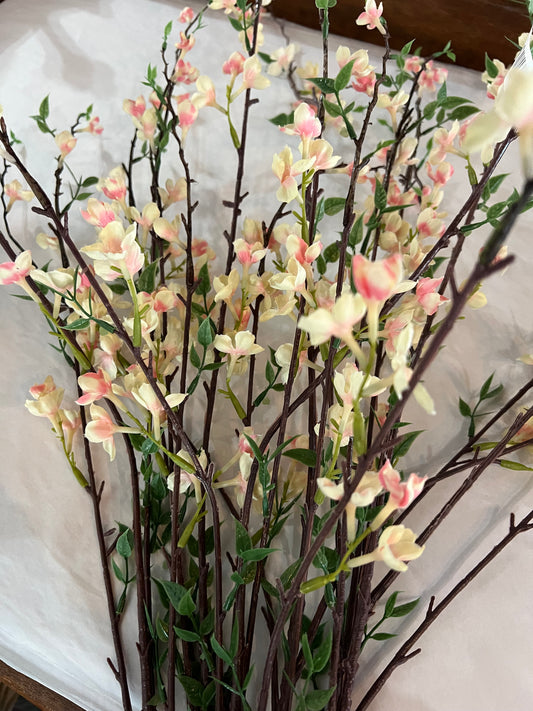Pink and cream stem
