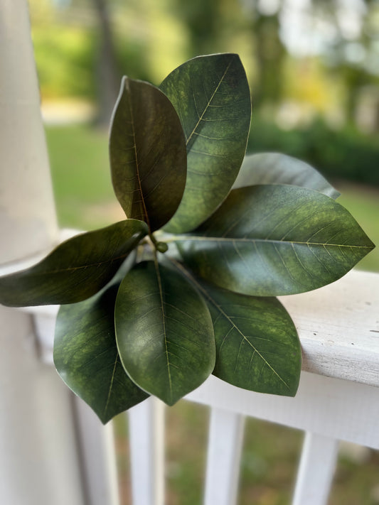 Magnolia leaf stem 16