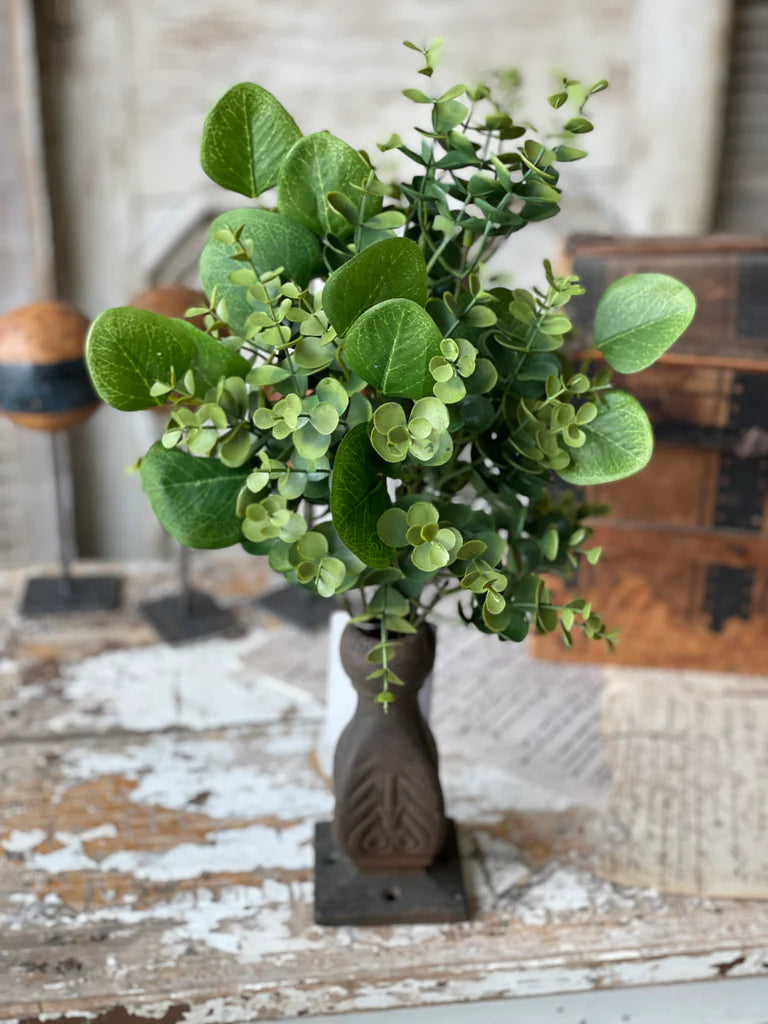 Greenery - Ashford eucalyptus bush