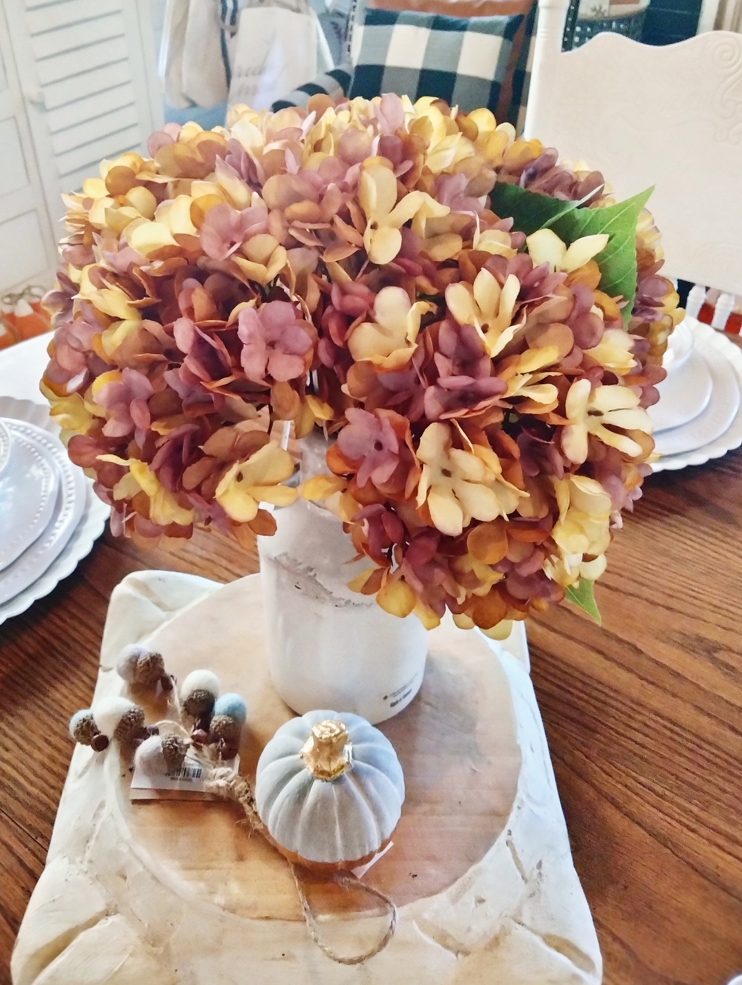 Hydrangea