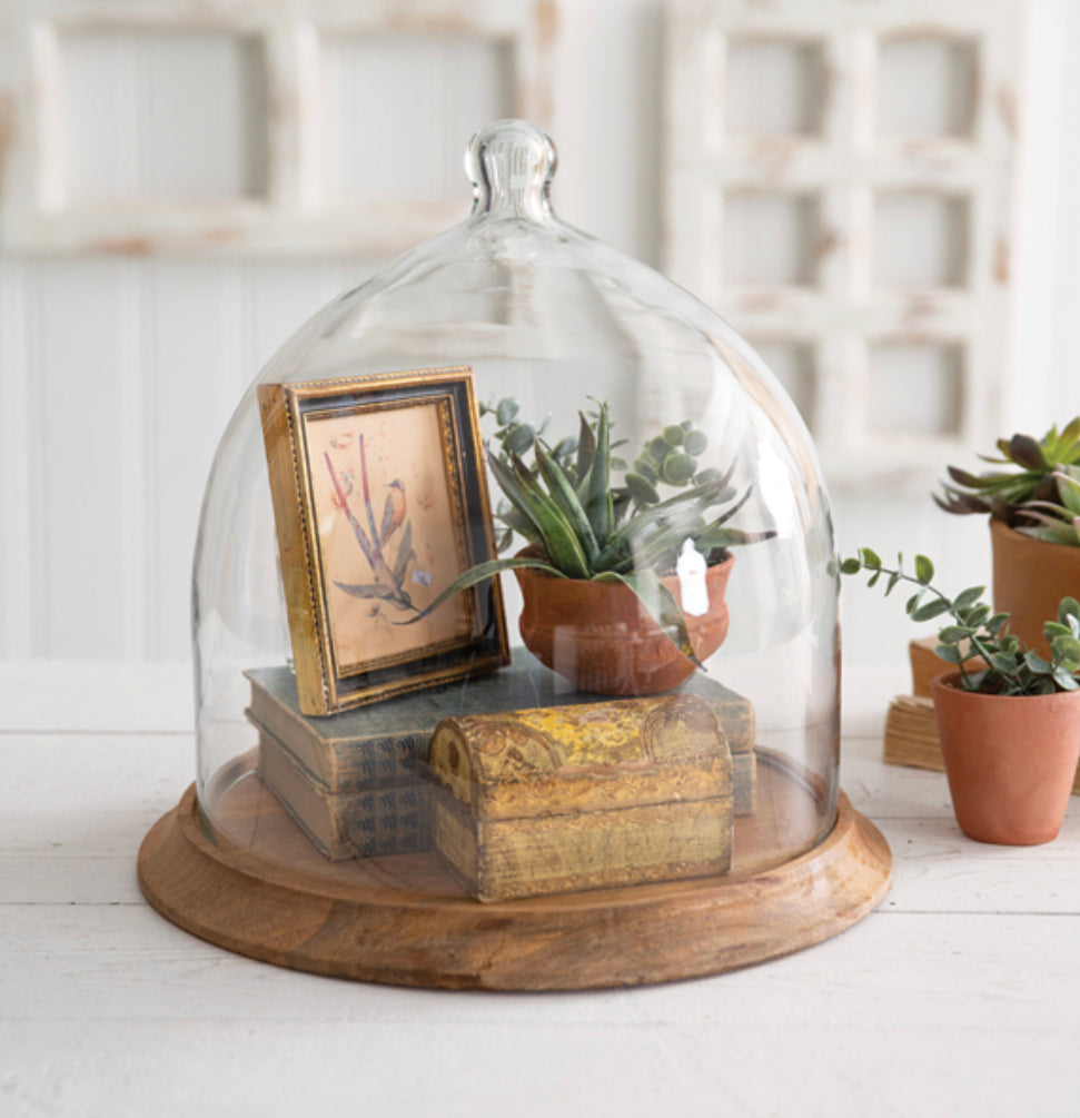 Small glass bell shaped cloche