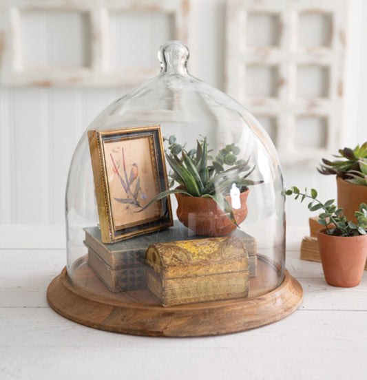 Small glass bell shaped cloche