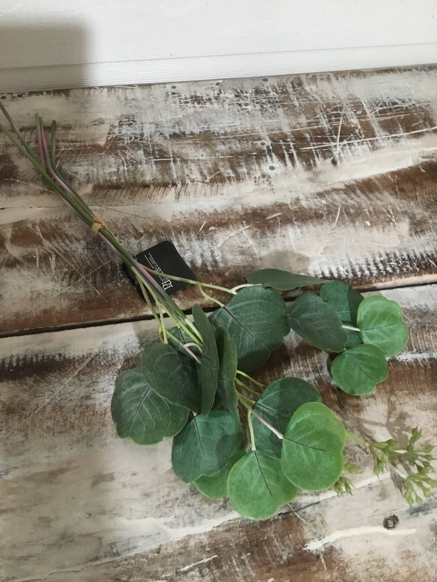 Eucalyptus bundle