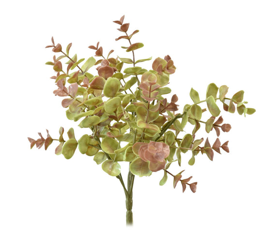 Floral - Burgundy Green Eucalyptus Bush