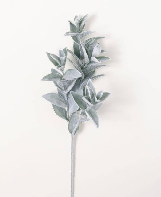 Lambs Ear Spray