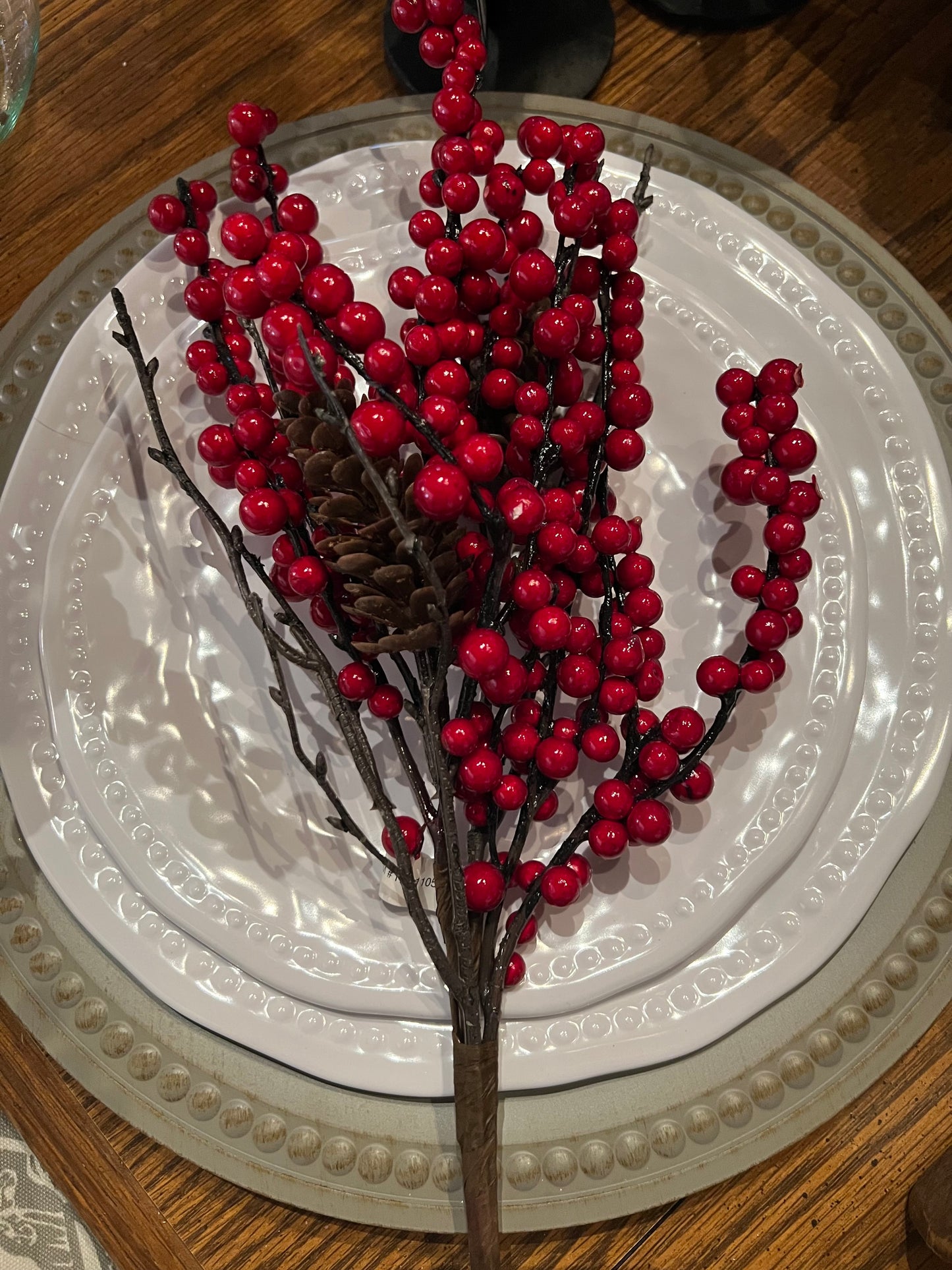Red berry stems