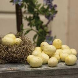 Small cream speckled eggs 24 count
